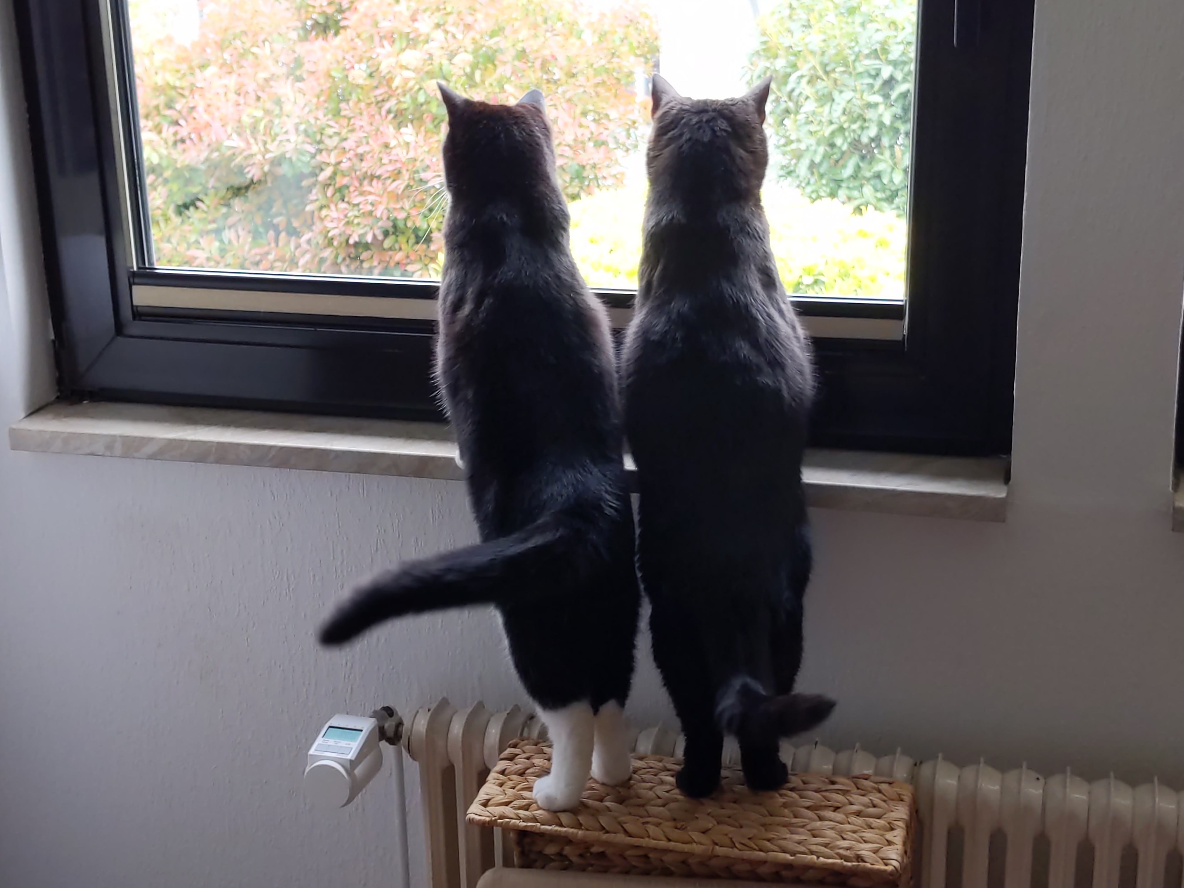 bild3.jpg bild3.jpg